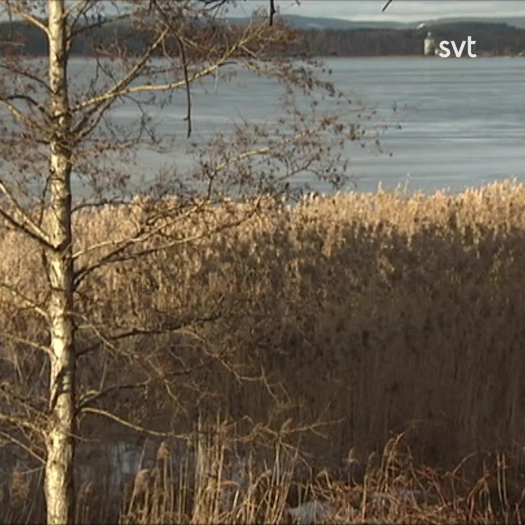 Robin Dahlén efter ursäkten från Arvika kommun: ”Den här kampen är slut”